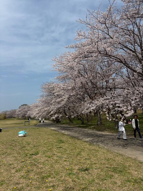 みゆ